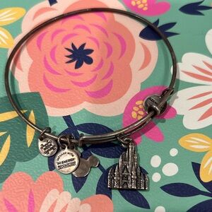 Disney parks Cinderella castle Alex and ani